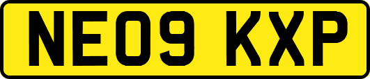 NE09KXP