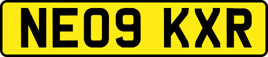 NE09KXR