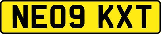 NE09KXT