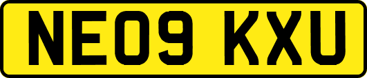 NE09KXU