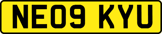 NE09KYU