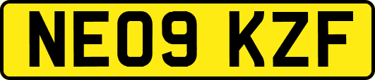 NE09KZF