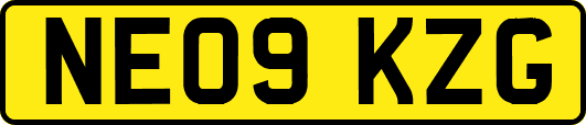 NE09KZG