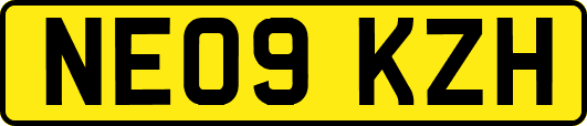 NE09KZH