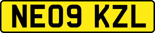 NE09KZL