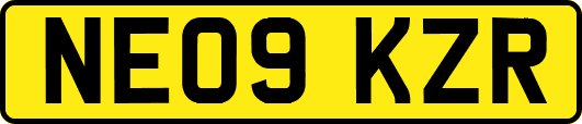 NE09KZR