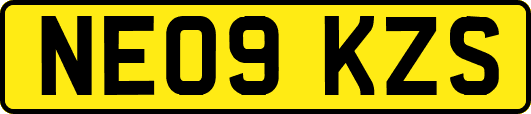 NE09KZS