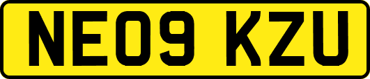 NE09KZU
