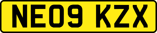 NE09KZX