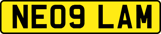 NE09LAM
