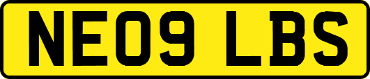 NE09LBS