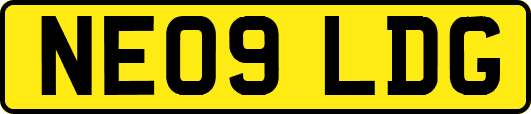 NE09LDG