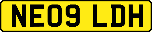 NE09LDH
