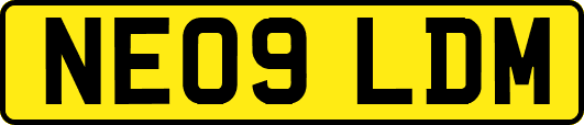 NE09LDM
