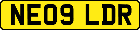 NE09LDR