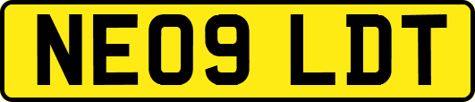 NE09LDT