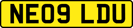 NE09LDU