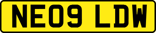 NE09LDW