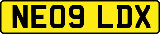 NE09LDX