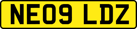 NE09LDZ