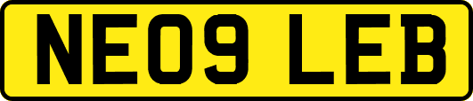 NE09LEB