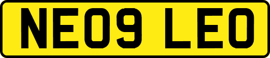 NE09LEO
