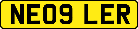 NE09LER