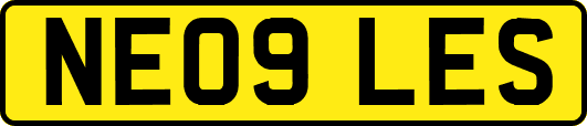 NE09LES