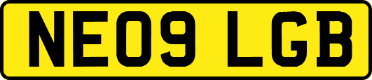 NE09LGB