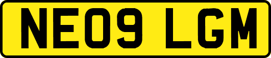 NE09LGM