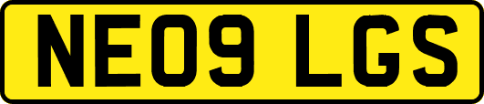 NE09LGS