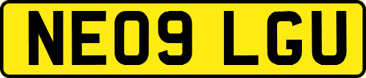 NE09LGU