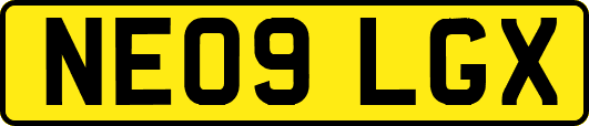 NE09LGX