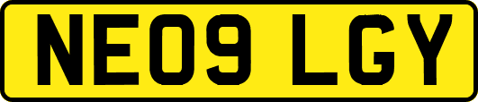 NE09LGY
