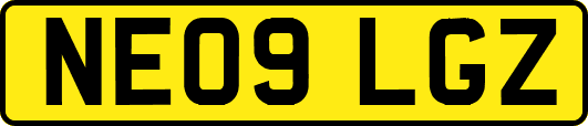 NE09LGZ