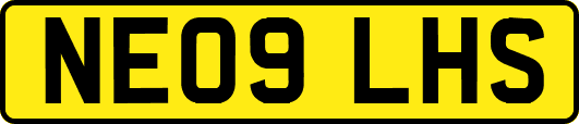 NE09LHS
