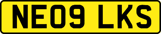 NE09LKS