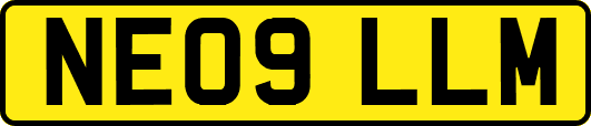 NE09LLM