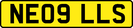 NE09LLS