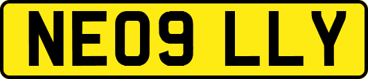 NE09LLY