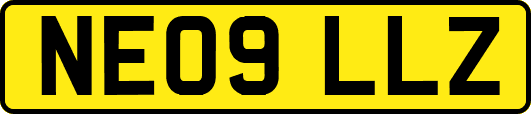 NE09LLZ