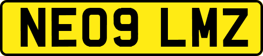 NE09LMZ