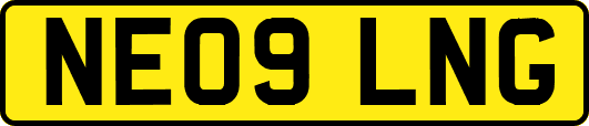 NE09LNG