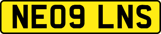 NE09LNS