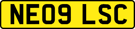 NE09LSC