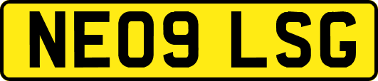 NE09LSG