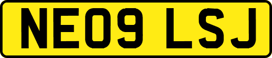 NE09LSJ