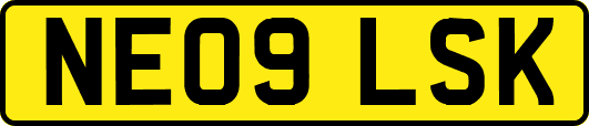 NE09LSK