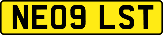 NE09LST