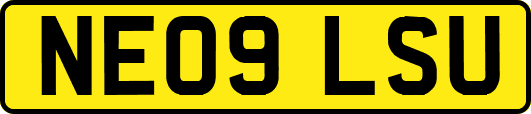 NE09LSU